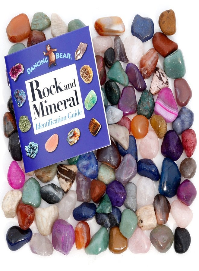 DANCING BEAR 10 Pounds (lbs) Tumbled Polished Natural & Dyed Gem Stones + Educational Color ID Sheet & 28 Page Rock & Mineral Identification Book. Average Stone Size 1 inch, Limited Edition